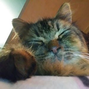 Meet your Posher, Katy